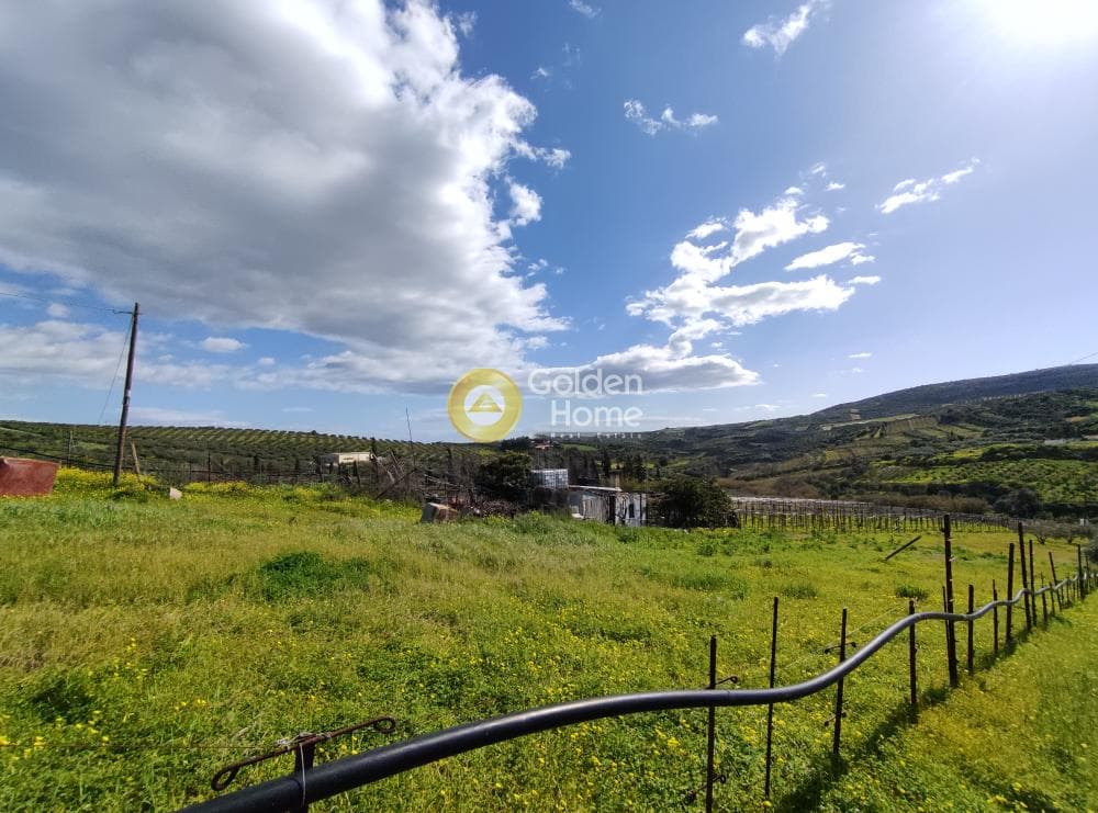 Οικόπεδο στην Σίλαμος, Αρχάνες — Φωτογραφία 11 από 12
