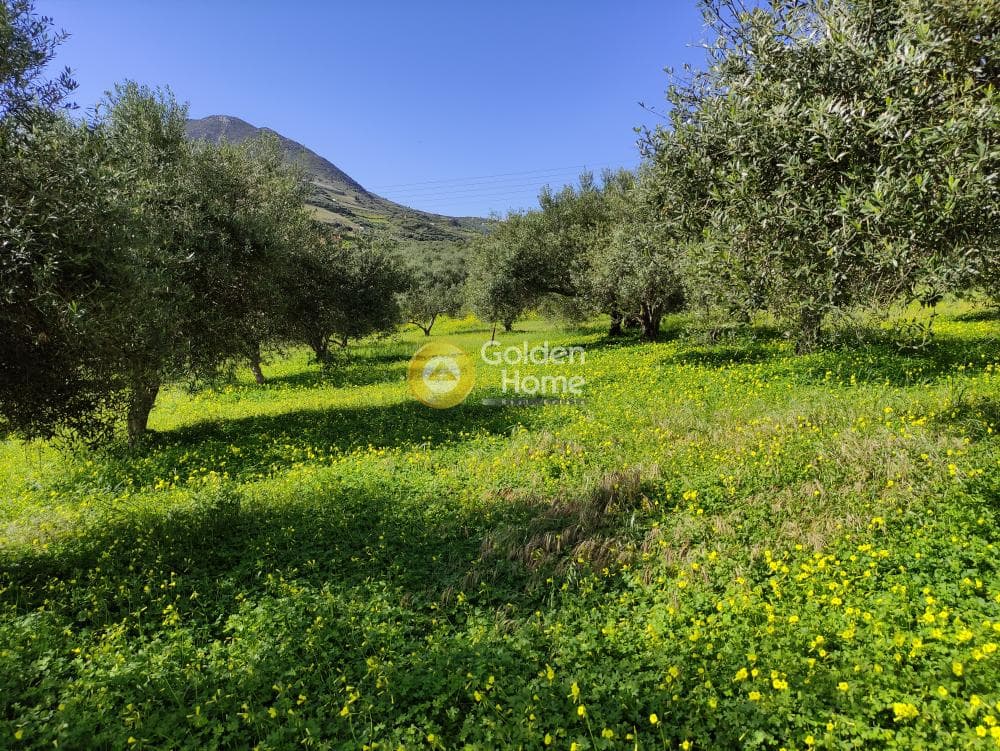 Οικόπεδο στην Σίλαμος, Αρχάνες — Φωτογραφία 9 από 12