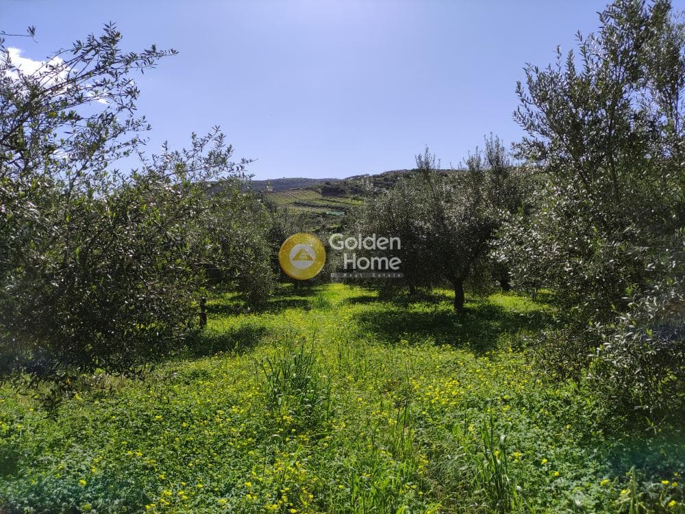 Οικόπεδο στην Σίλαμος, Αρχάνες — Φωτογραφία 3 από 17