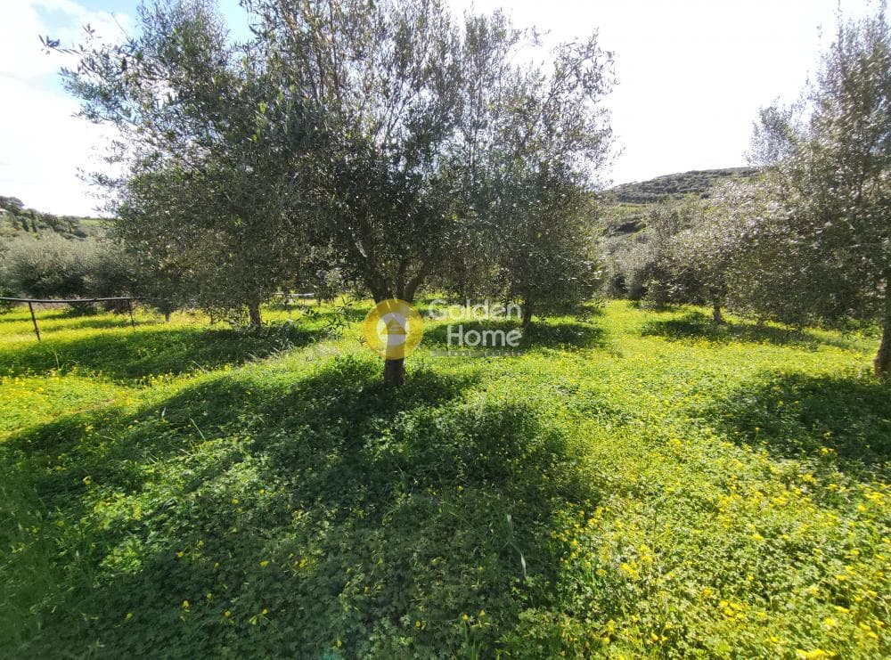 Οικόπεδο στην Σίλαμος, Αρχάνες — Φωτογραφία 8 από 17