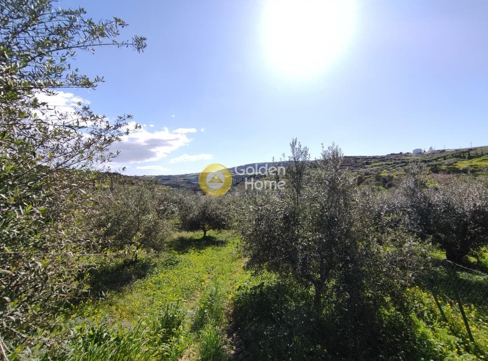Οικόπεδο στην Σίλαμος, Αρχάνες — Φωτογραφία 12 από 17