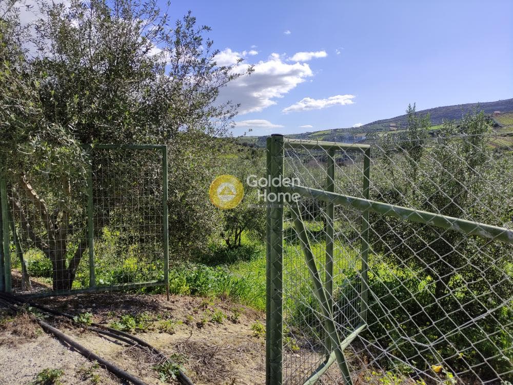 Οικόπεδο στην Σίλαμος, Αρχάνες — Φωτογραφία 17 από 17