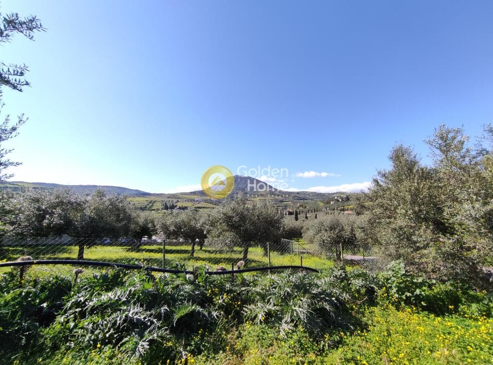 Οικόπεδο στην Σίλαμος, Αρχάνες — Φωτογραφία 11 από 13