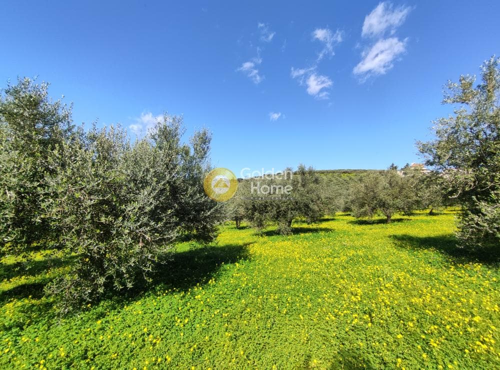 Οικόπεδο στην Σίλαμος, Αρχάνες — Φωτογραφία 7 από 13
