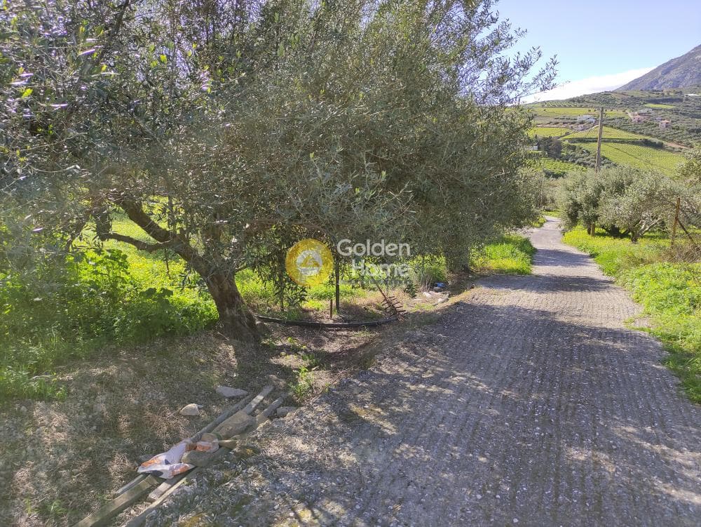 Οικόπεδο στην Σίλαμος, Αρχάνες — Φωτογραφία 12 από 13