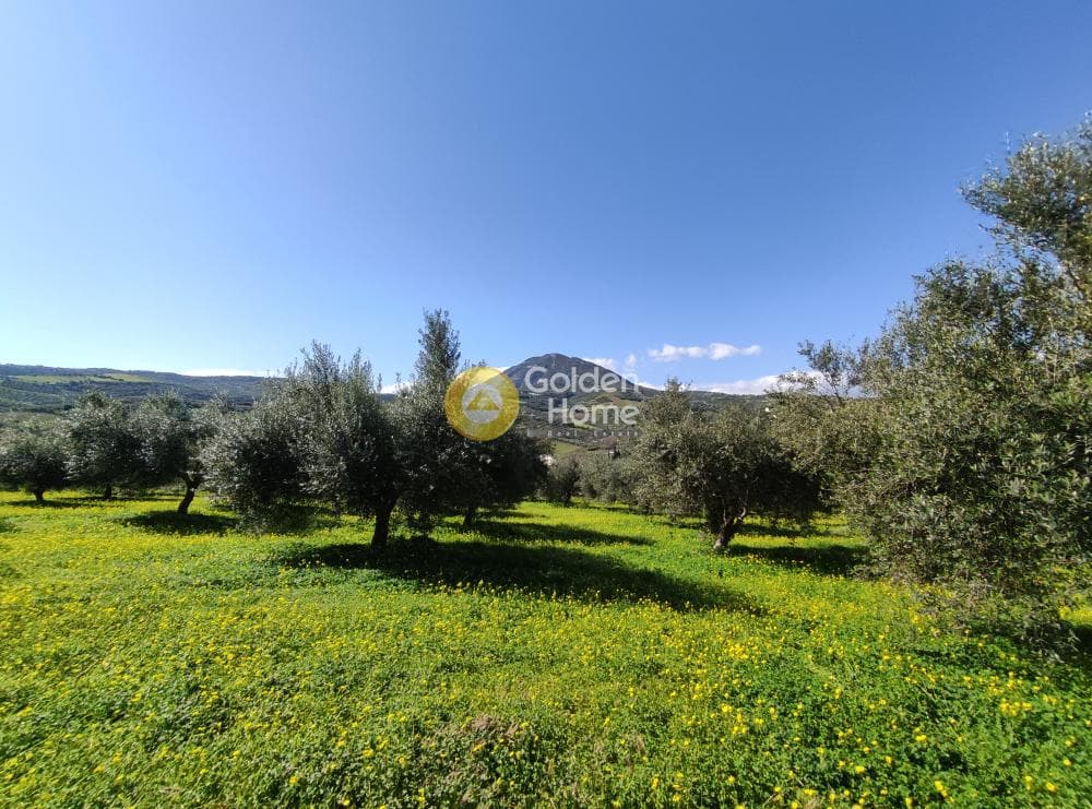 Οικόπεδο στην Σίλαμος, Αρχάνες — Φωτογραφία 10 από 13