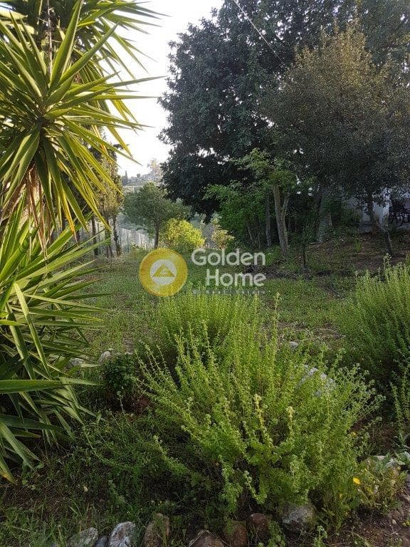 Building Plot in Lamprika, Koropi — Photo 4 of 12