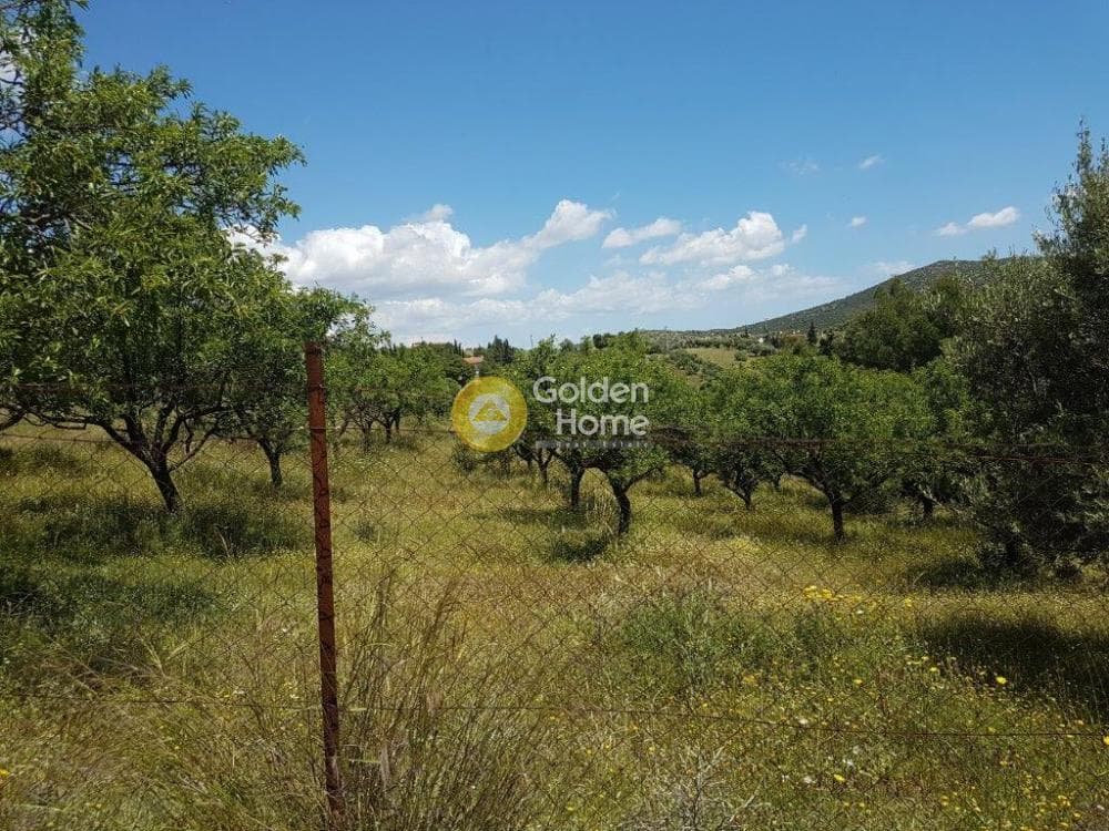 Building Plot in Lamprika, Koropi — Photo 5 of 12
