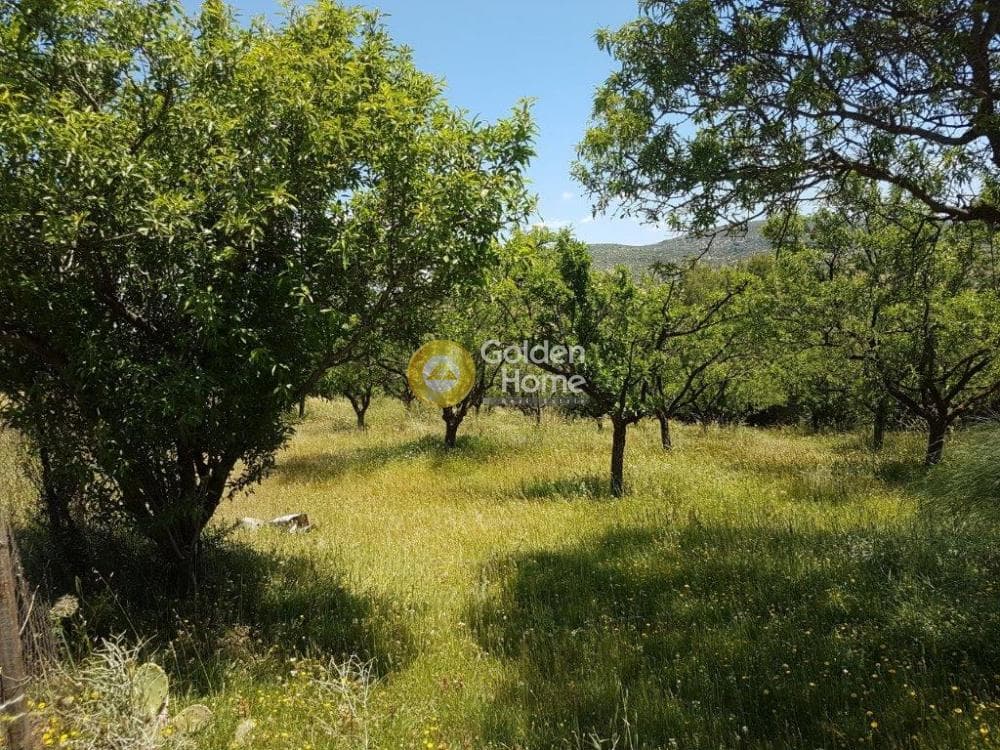 Building Plot in Lamprika, Koropi — Photo 9 of 12