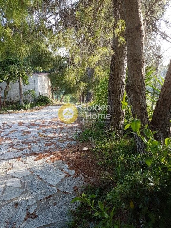 Μονοκατοικία στην ΒΙ.ΠΕ, Κορωπί — Φωτογραφία 3 από 12
