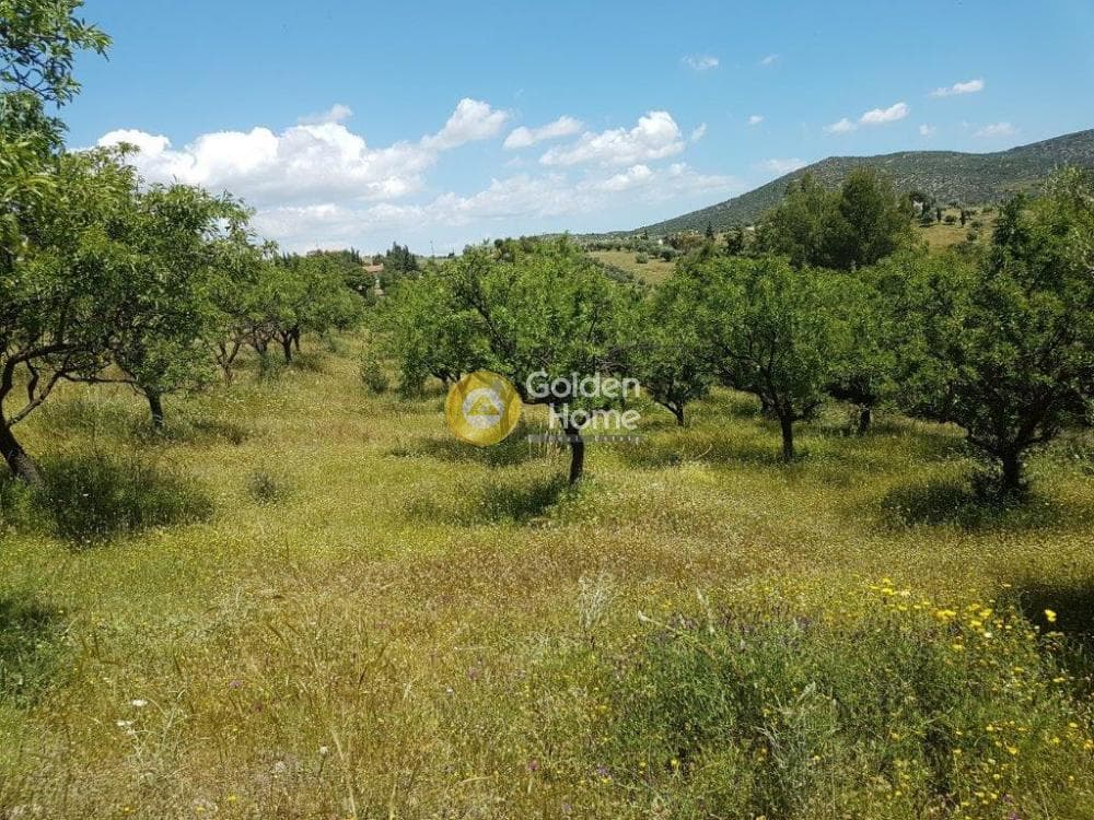 Μονοκατοικία στην ΒΙ.ΠΕ, Κορωπί — Φωτογραφία 4 από 12