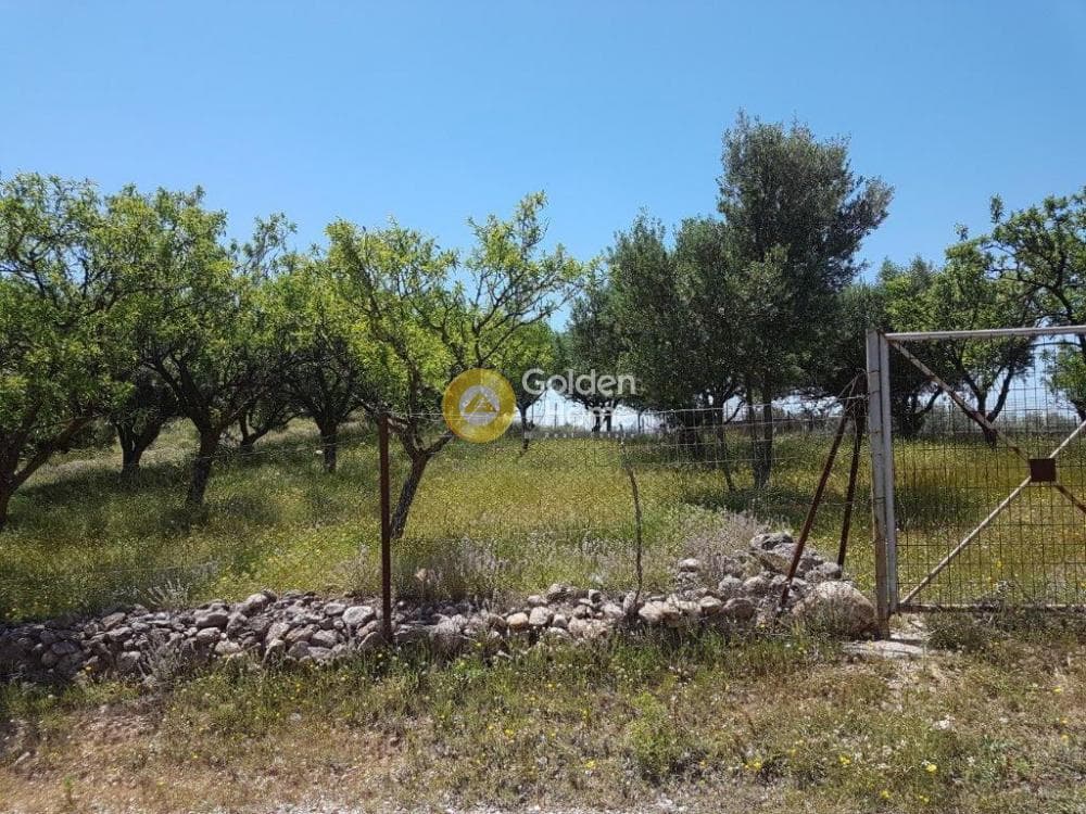 Μονοκατοικία στην ΒΙ.ΠΕ, Κορωπί — Φωτογραφία 8 από 12