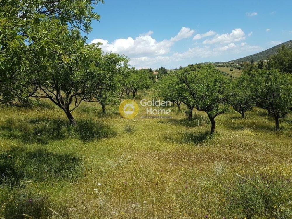 Μονοκατοικία στην ΒΙ.ΠΕ, Κορωπί — Φωτογραφία 11 από 12