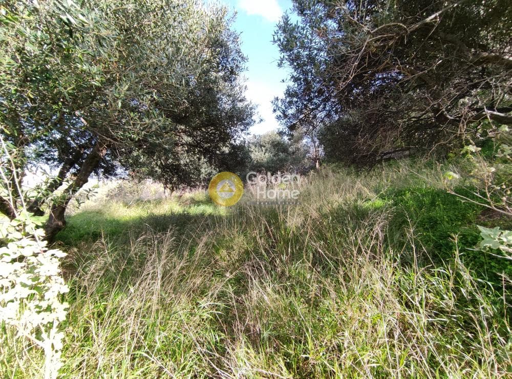 Αγροτεμάχιο στην Πατσίδες, Αρχάνες — Φωτογραφία 3 από 7