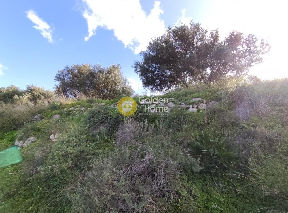 Αγροτεμάχιο στην Πατσίδες, Αρχάνες — Φωτογραφία 4 από 7