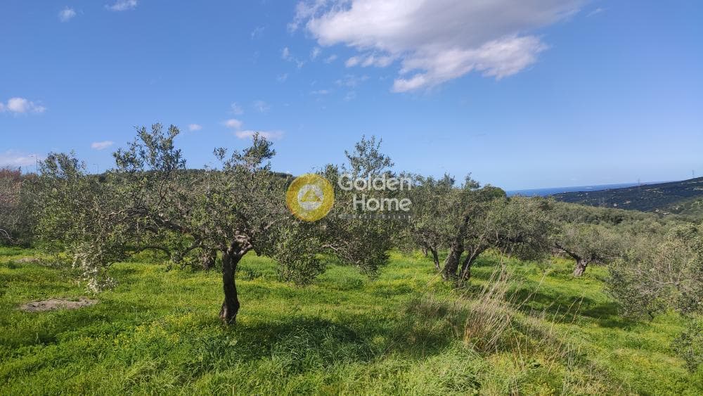 Building Plot in Skalani, Episkopi — Photo 2 of 15