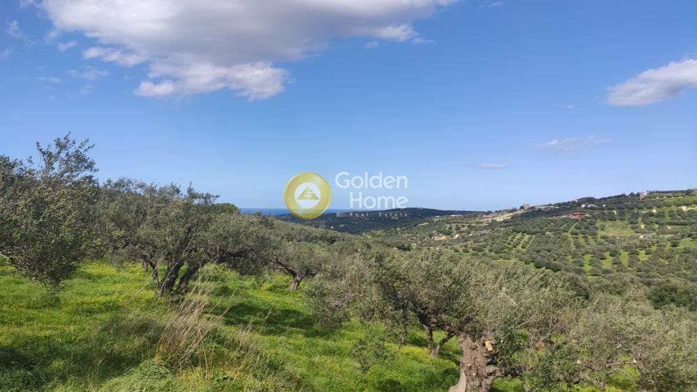 Building Plot in Skalani, Episkopi — Photo 4 of 15