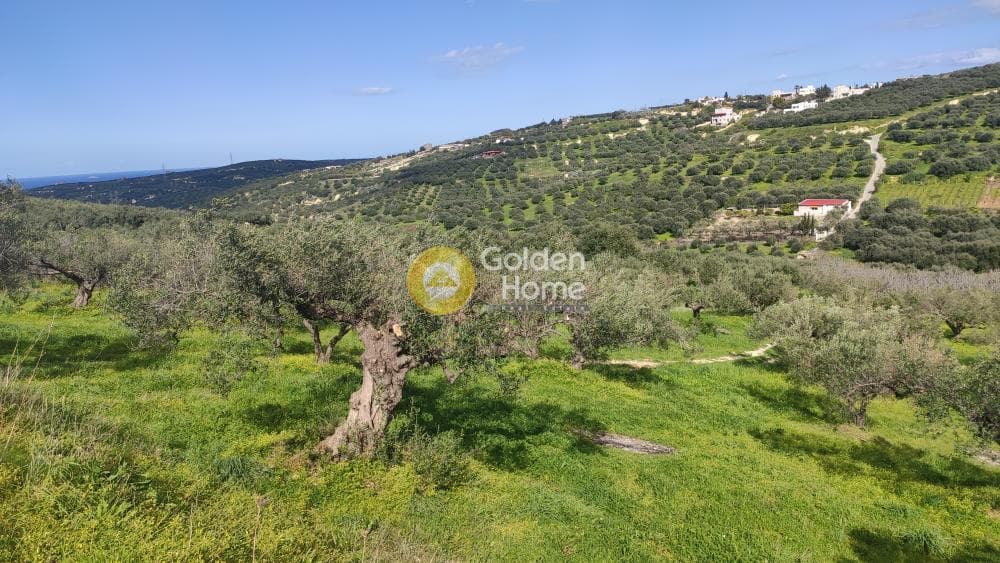 Building Plot in Skalani, Episkopi — Photo 6 of 15