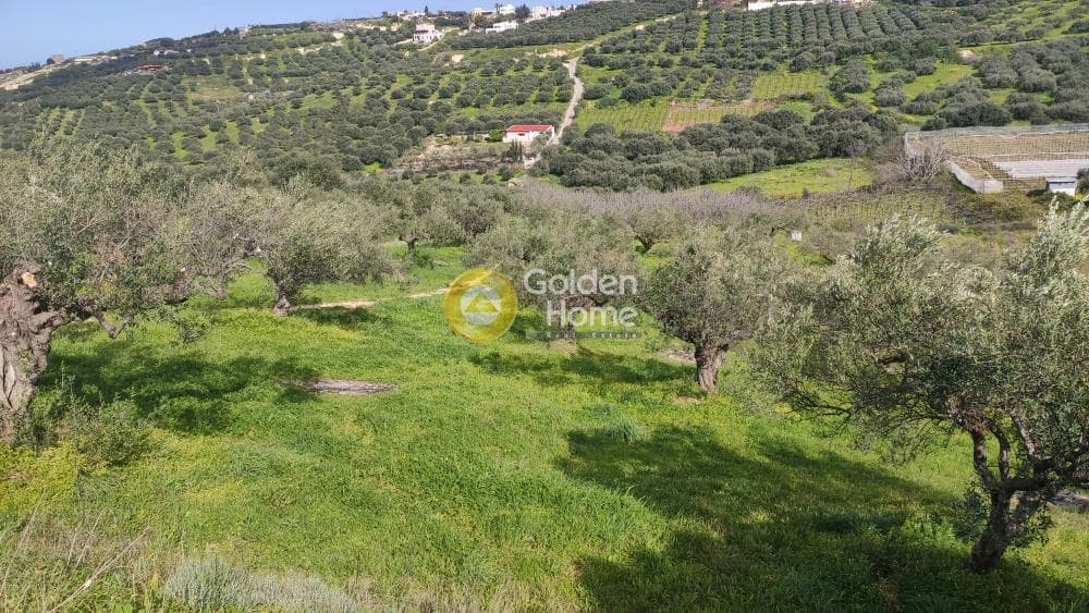 Building Plot in Skalani, Episkopi — Photo 9 of 15