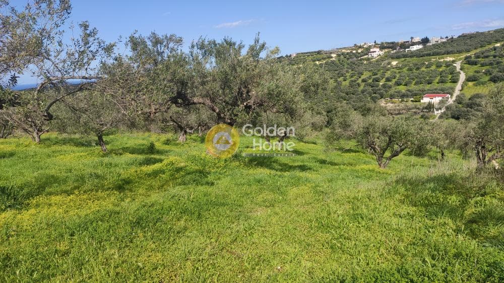 Building Plot in Skalani, Episkopi — Photo 10 of 15