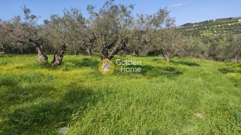 Building Plot in Skalani, Episkopi — Photo 11 of 15