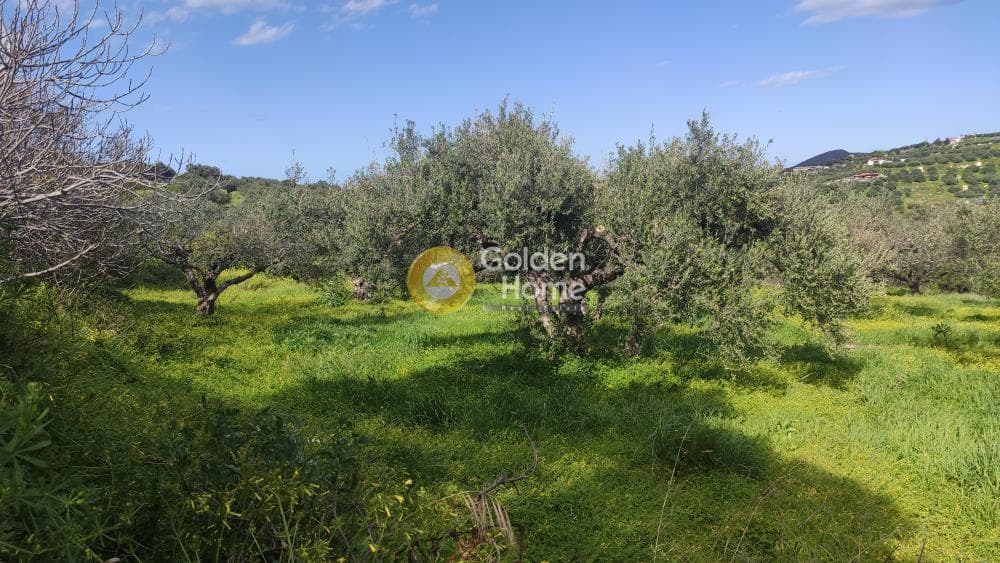 Building Plot in Skalani, Episkopi — Photo 12 of 15