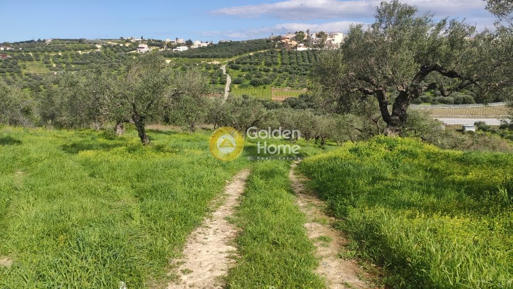 Building Plot in Skalani, Episkopi — Photo 15 of 15