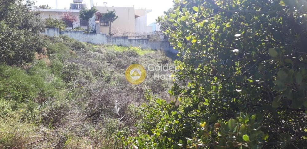 Building Plot in Anthousa, Anthoisa — Photo 6 of 6