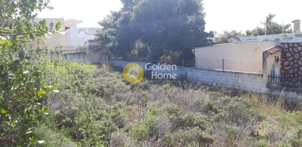 Building Plot in Anthousa, Anthoisa — Photo 4 of 6