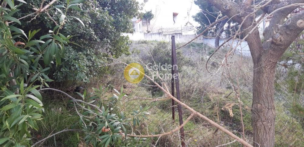 Building Plot in Anthousa, Anthoisa — Photo 2 of 6