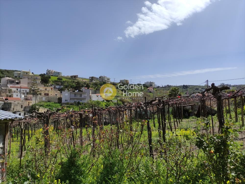 Οικόπεδο στην Πατσίδες, Αρχάνες — Φωτογραφία 3 από 6