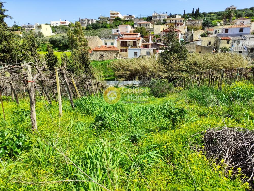 Οικόπεδο στην Πατσίδες, Αρχάνες — Φωτογραφία 1 από 6