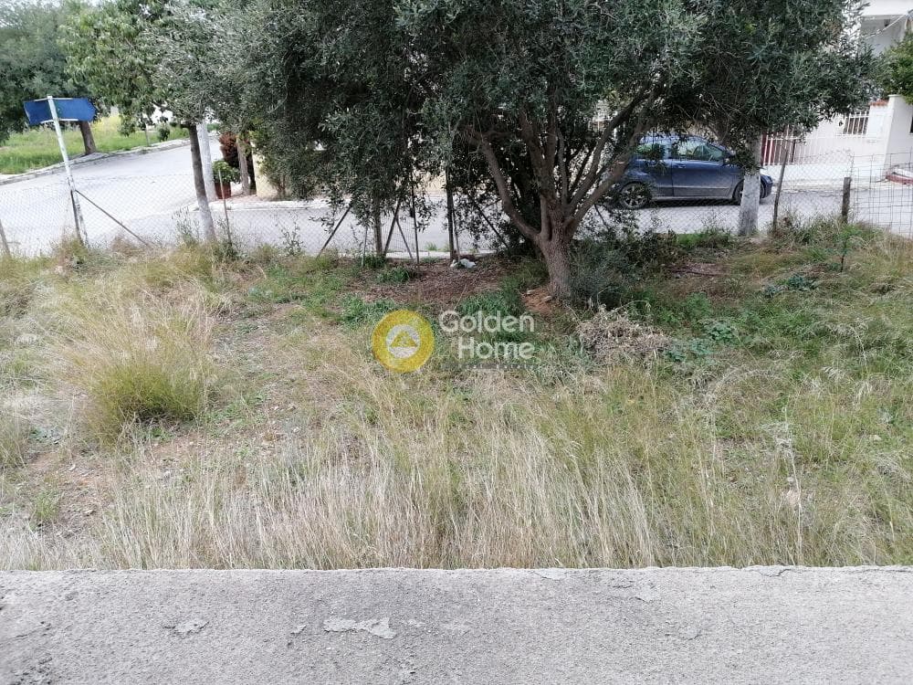 Μονοκατοικία στην Άγιος Γεώργιος, Άνω Λιόσια — Φωτογραφία 7 από 9