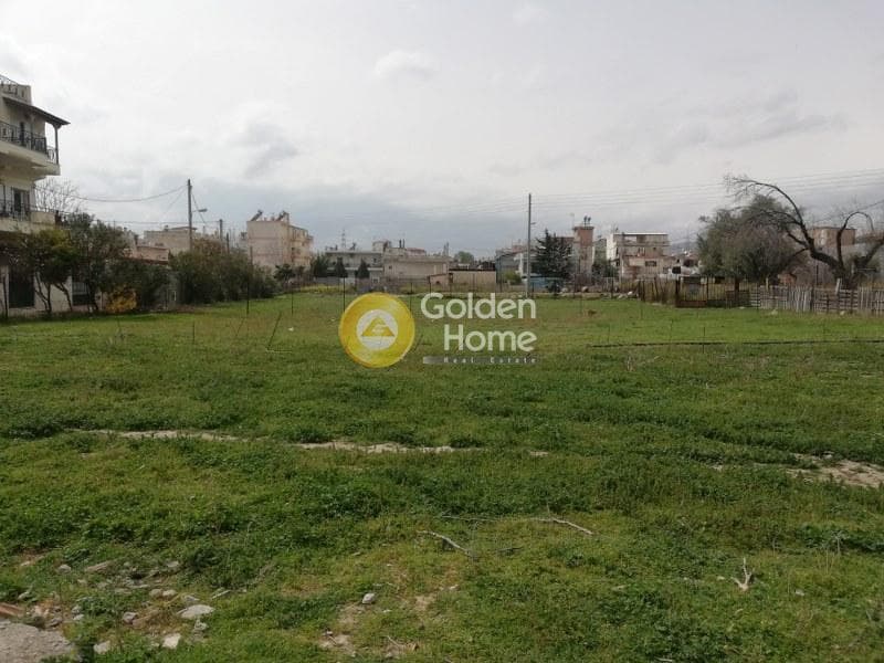 Building Plot in Megala Sxoinia A, Acharnes — Photo 1 of 8
