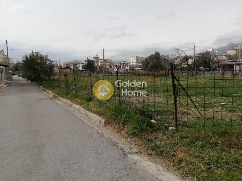 Building Plot in Megala Sxoinia A, Acharnes — Photo 2 of 8