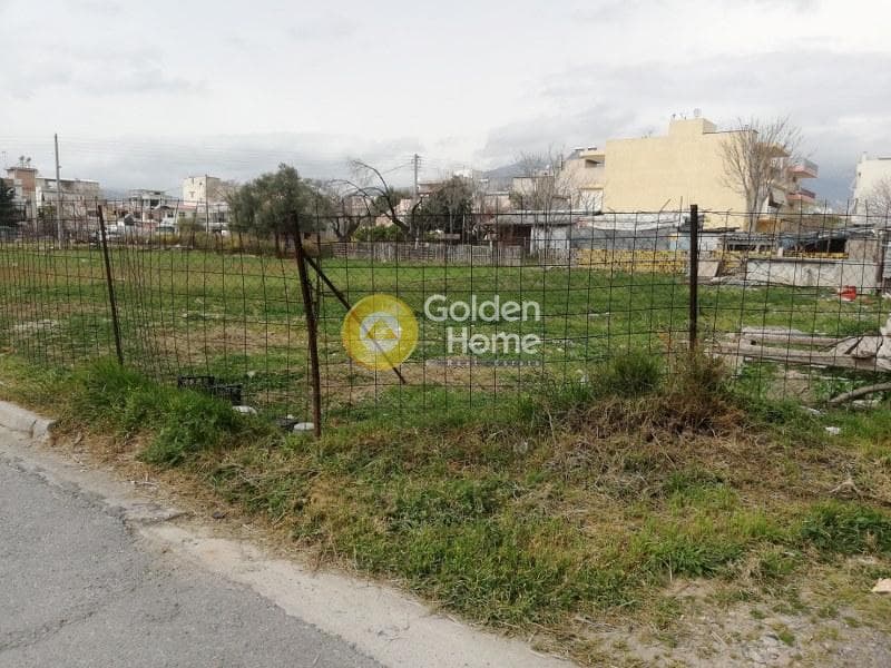 Building Plot in Megala Sxoinia A, Acharnes — Photo 8 of 8