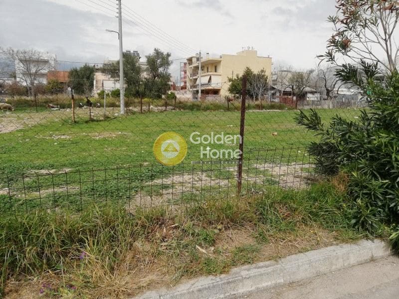 Building Plot in Megala Sxoinia A, Acharnes — Photo 5 of 8