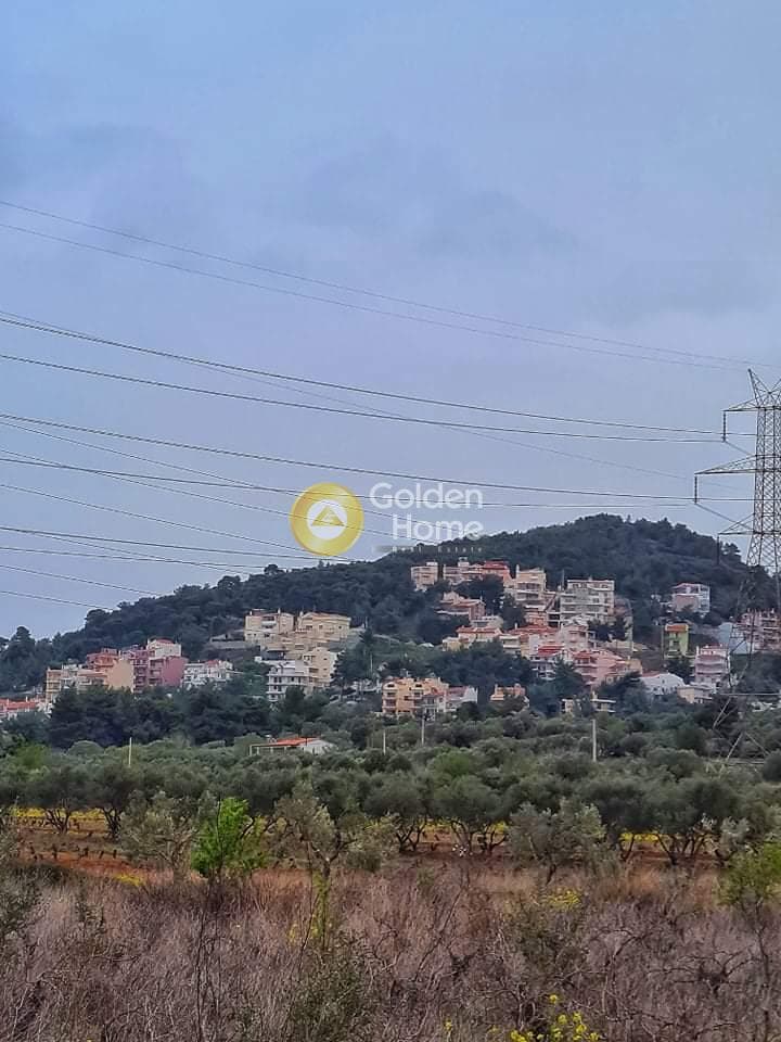 Building Plot in Neapoli, Spata — Photo 1 of 5
