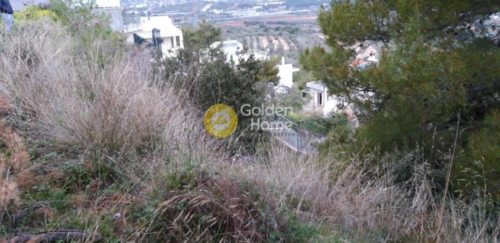 Building Plot in Neapoli, Spata — Photo 2 of 5