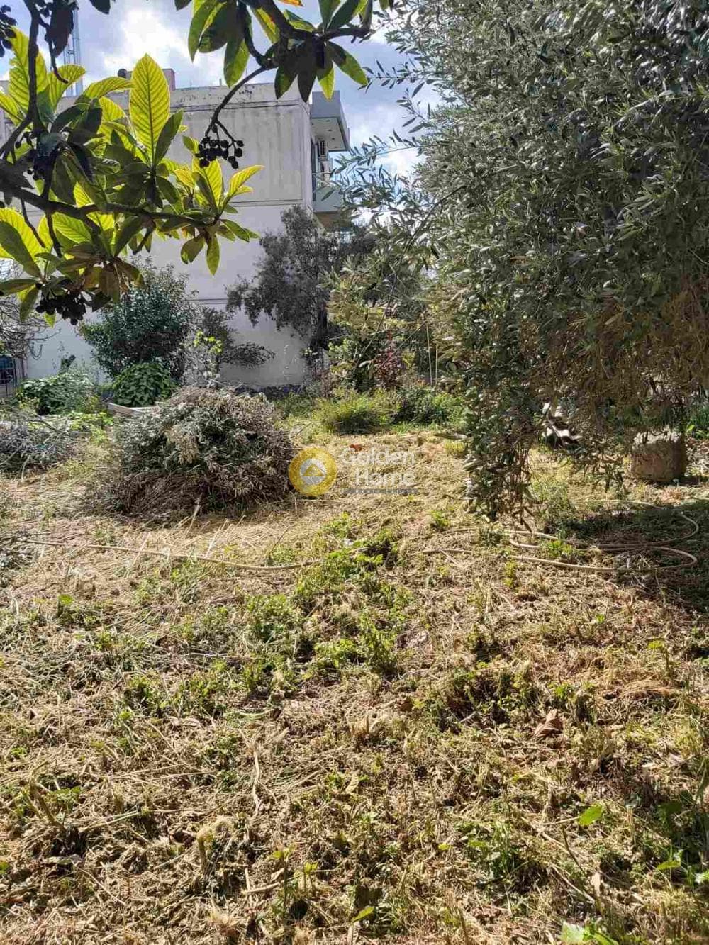 Οικόπεδο στην Άγιος Σεραφείμ, Αρτέμιδα (Λούτσα) — Φωτογραφία 1 από 2