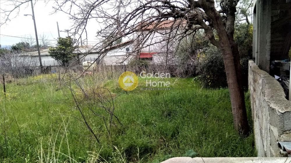 Αγροτεμάχιο στην Μεγάλα Σχοινία Α, Αχαρνές — Φωτογραφία 3 από 6