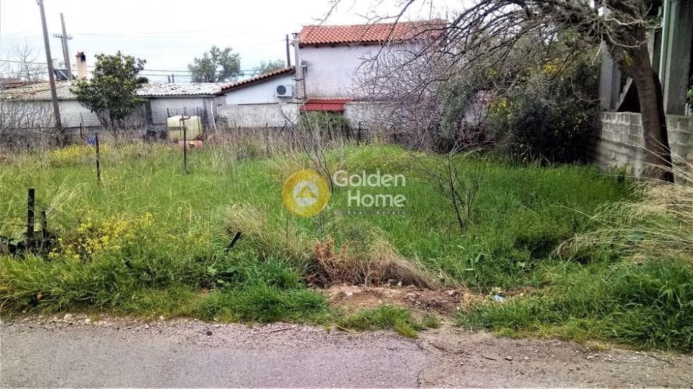 Αγροτεμάχιο στην Μεγάλα Σχοινία Α, Αχαρνές — Φωτογραφία 1 από 6