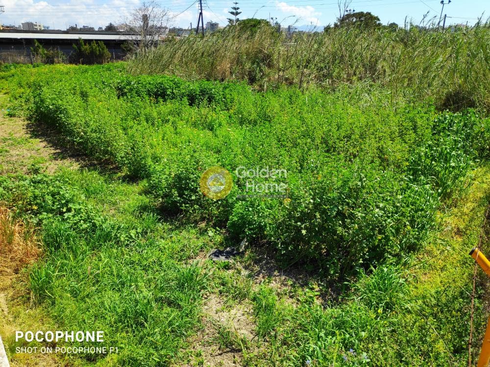 Building Plot in Skafidaras, Gazi — Photo 1 of 3