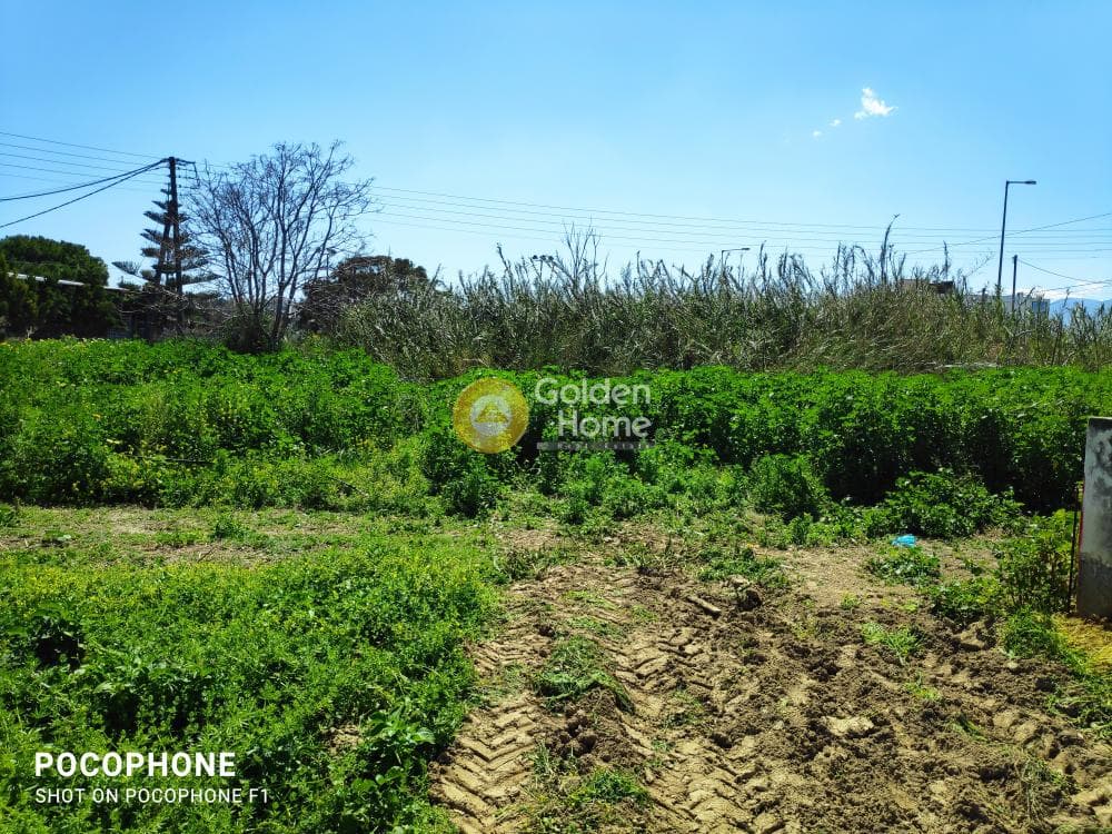 Building Plot in Skafidaras, Gazi — Photo 2 of 3