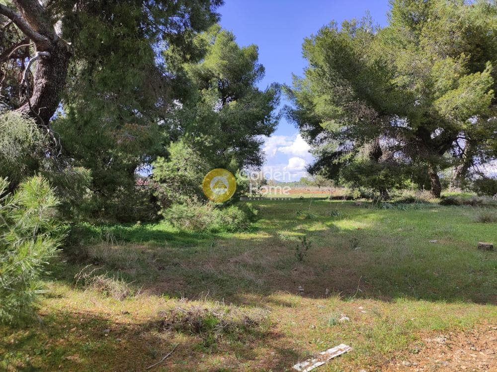 Οικόπεδο στην Άγιος Σεραφείμ, Αρτέμιδα (Λούτσα) — Φωτογραφία 8 από 8
