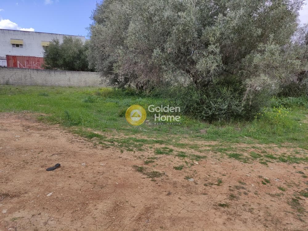 Building Plot in Neapoli, Spata — Photo 2 of 3