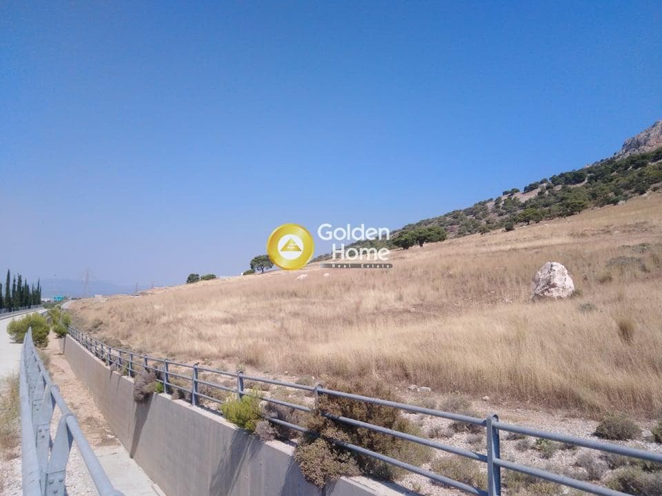 Αγροτεμάχιο στην Αμμουδιές, Ασπρόπυργος — Φωτογραφία 1 από 6