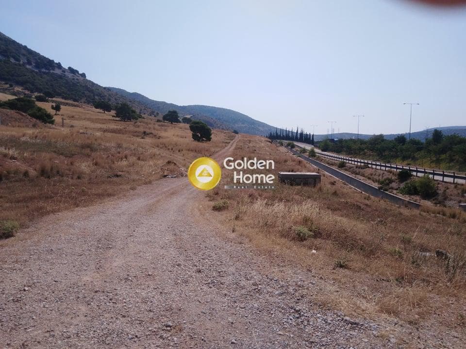 Αγροτεμάχιο στην Αμμουδιές, Ασπρόπυργος — Φωτογραφία 3 από 6