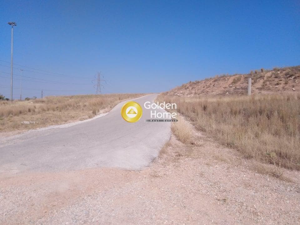Αγροτεμάχιο στην Αμμουδιές, Ασπρόπυργος — Φωτογραφία 5 από 6