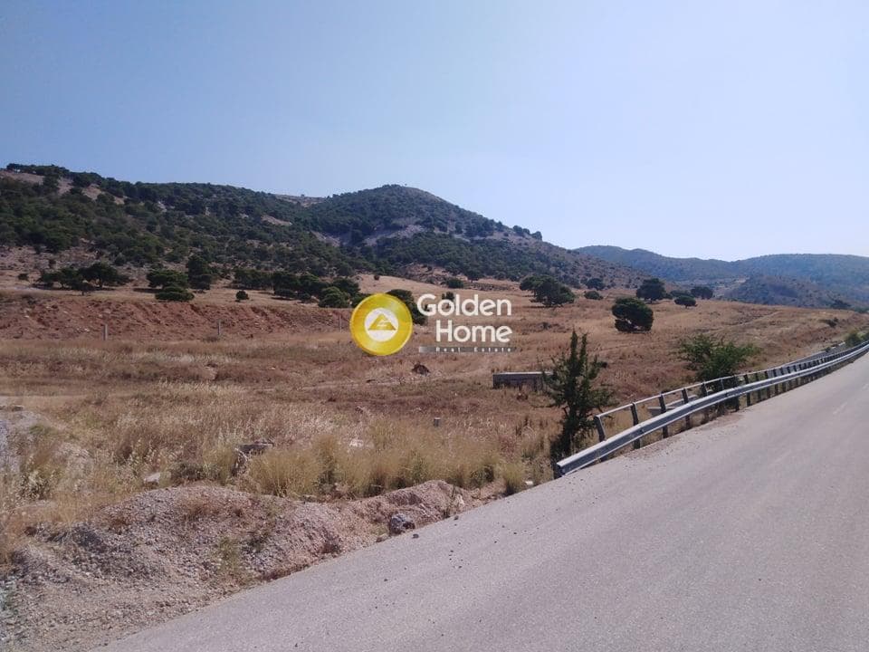 Αγροτεμάχιο στην Αμμουδιές, Ασπρόπυργος — Φωτογραφία 6 από 6
